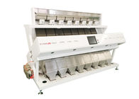 Hi Tech CCD Dehydrated Vegetable Sorting Machine Automatic Dehydration